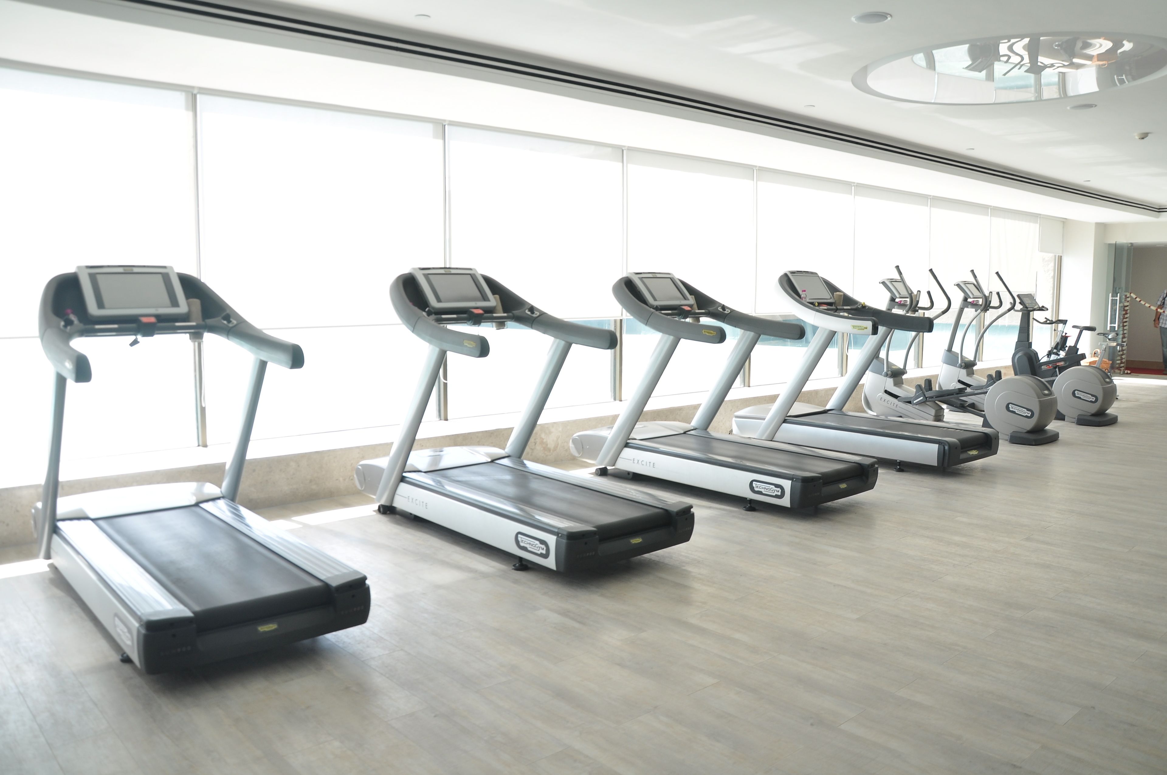 A row of treadmills in a well-lit room with large windows.