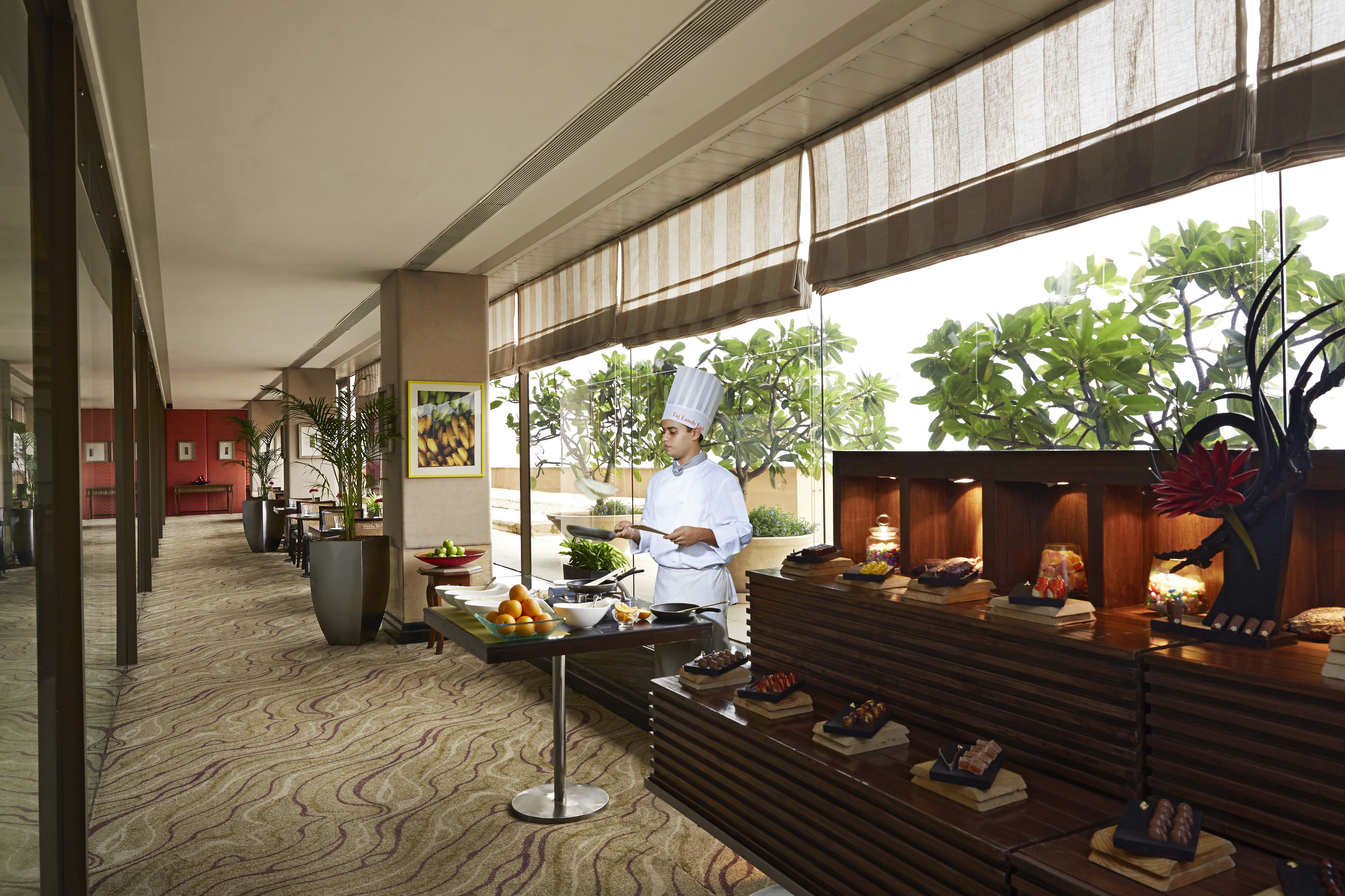 A chef preparing food in a well-lit, spacious area with a view of greenery outside.