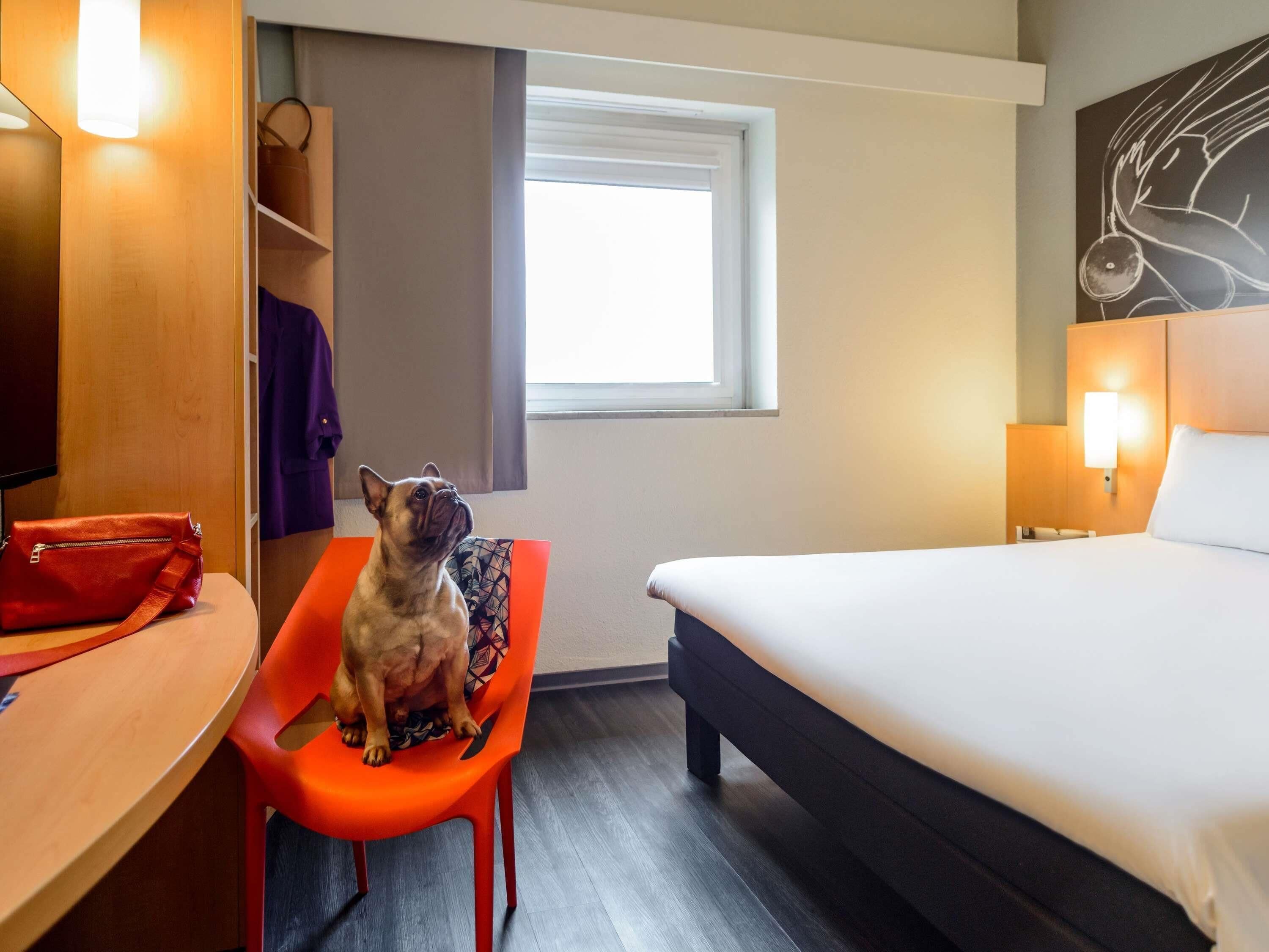 Ein Hotelzimmer mit Bett, Schreibtisch mit Stuhl, Fenster und Wand mit einer Lampe.