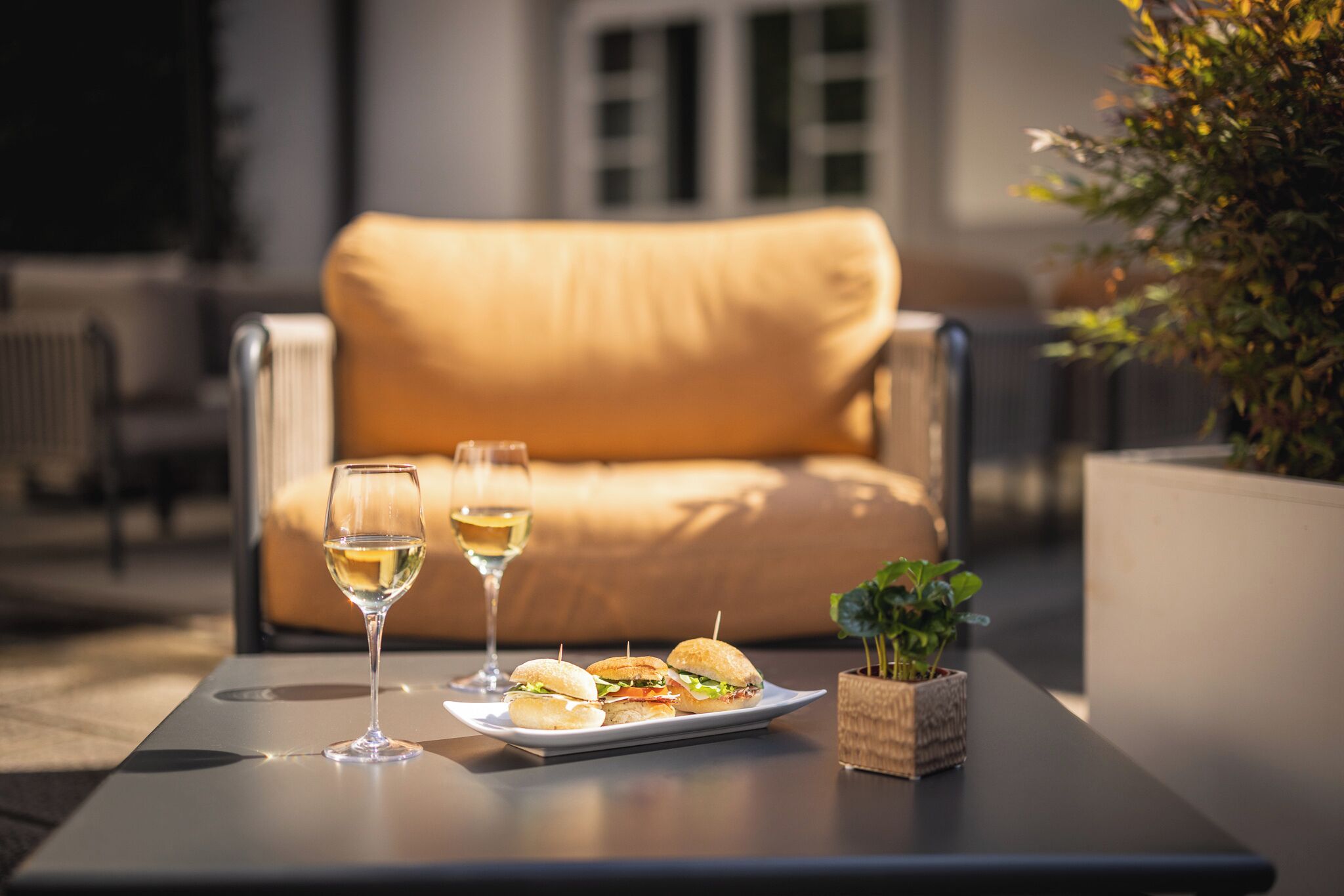 breakfast and dinner served, local and international cuisine