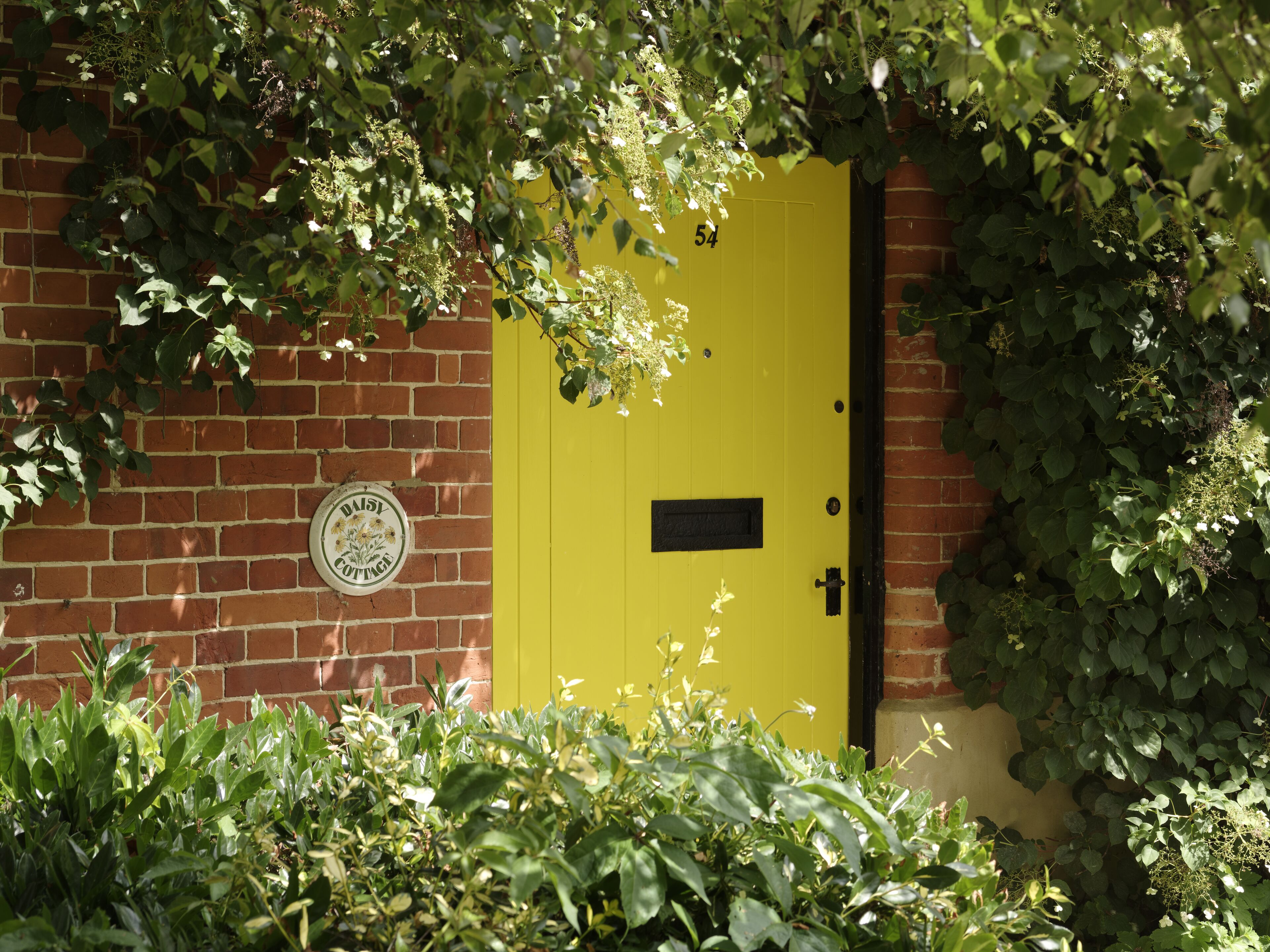 A yellow door with a number plate, a brick wall, and a sign that says "DAISY GARDEN".