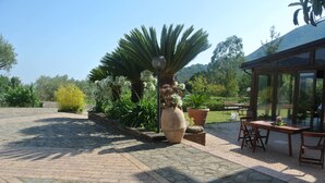 A patio area with a stone floor, a large potted plant, a wooden table with chairs, and a glass-enclosed structure. - Il Forno Antico (San Mauro La Bruca)
