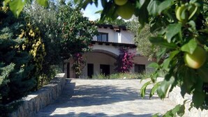A stone pathway leading to a building with a traditional architectural style, surrounded by lush greenery and flowering plants. - Il Forno Antico (San Mauro La Bruca)