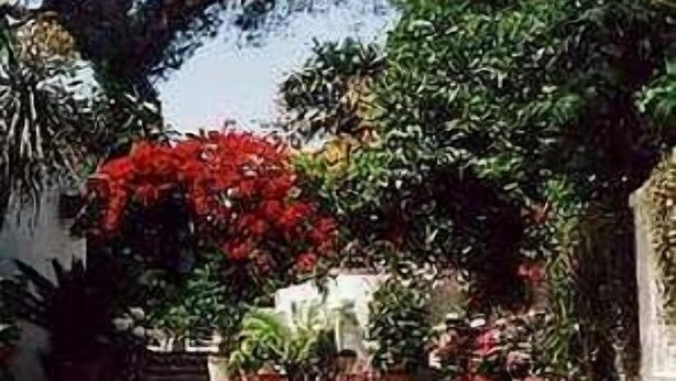 An outdoor garden area with a white archway, various potted plants, and a pathway. - Hotel Tirreno Residence (Procida)