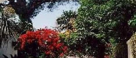 Entrada da propriedade