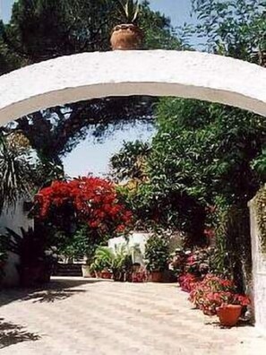 Property entrance - Hotel Tirreno Residence (Procida)