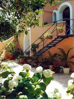 Un patio con una escalera que lleva a un edificio, rodeado de plantas en macetas y flores blancas.