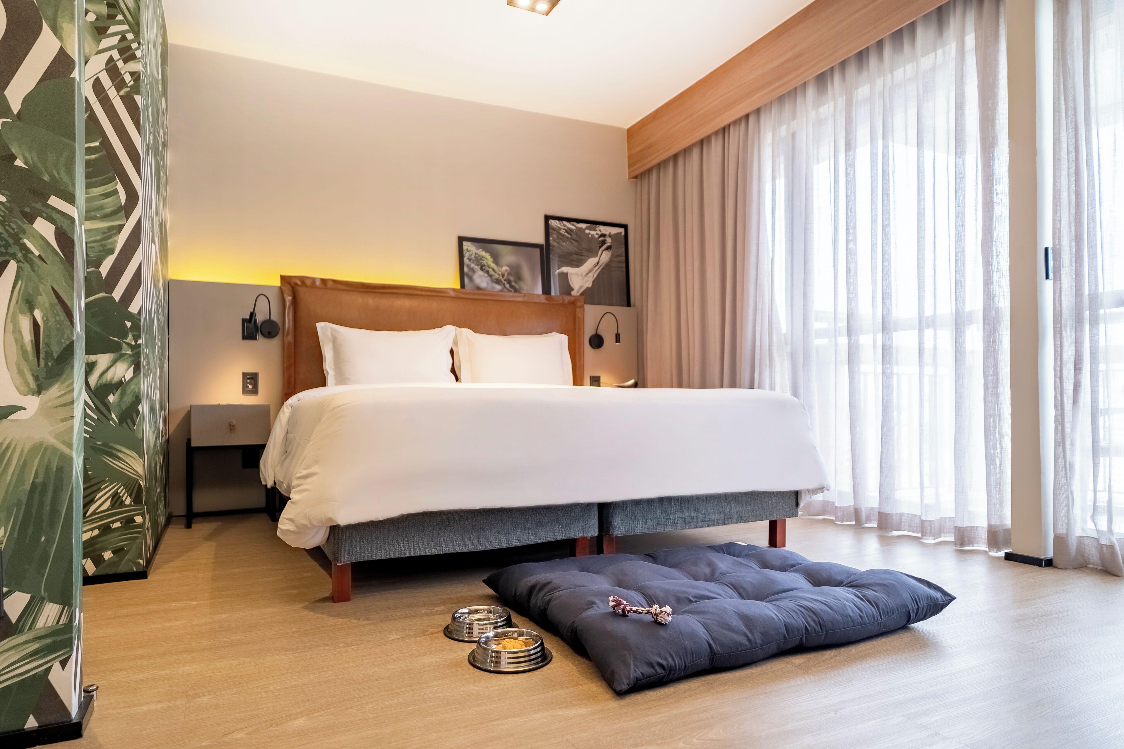 pet-friendly amenities