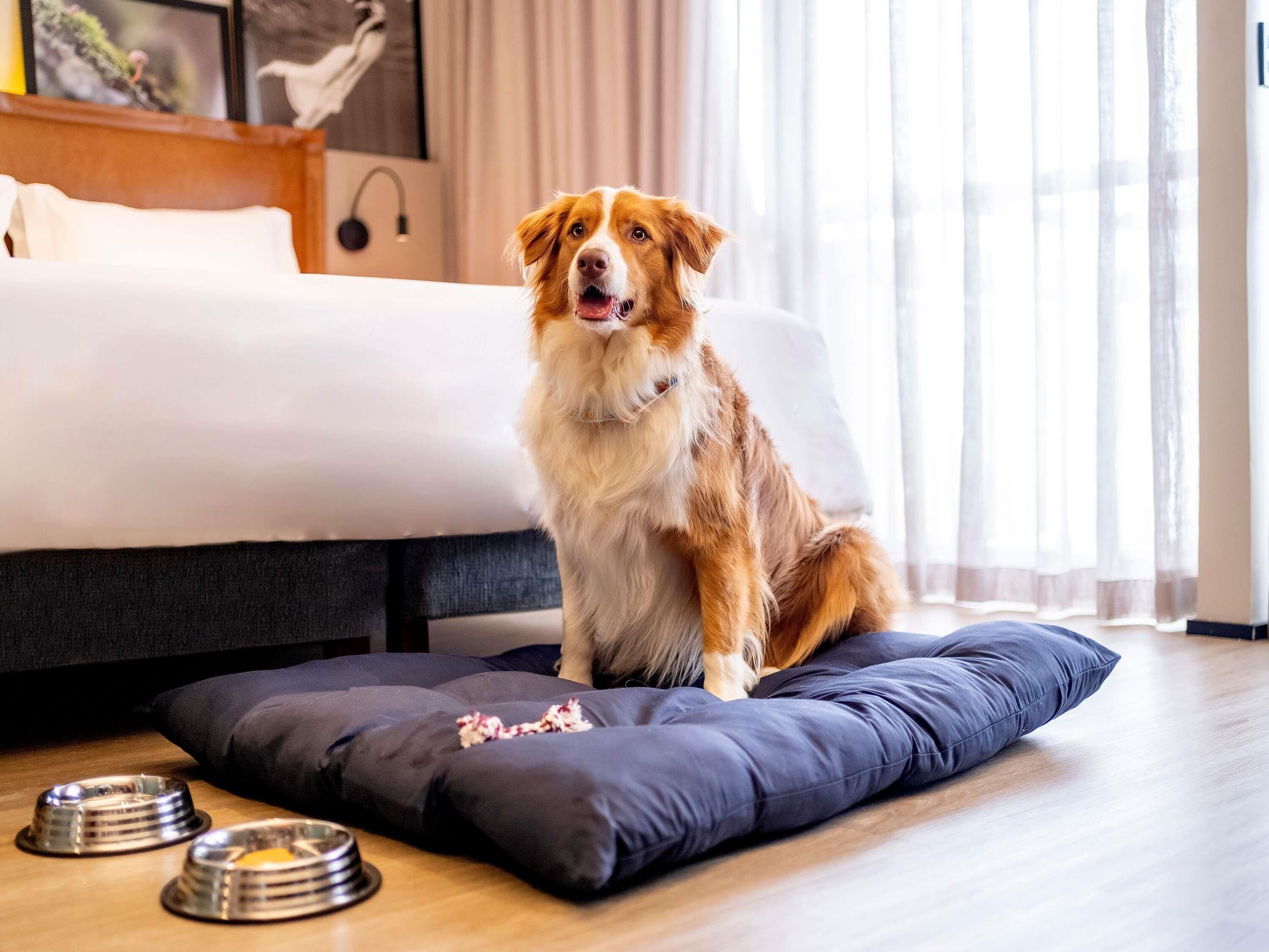 Foto - Grand Mercure SP Itaim Bibi