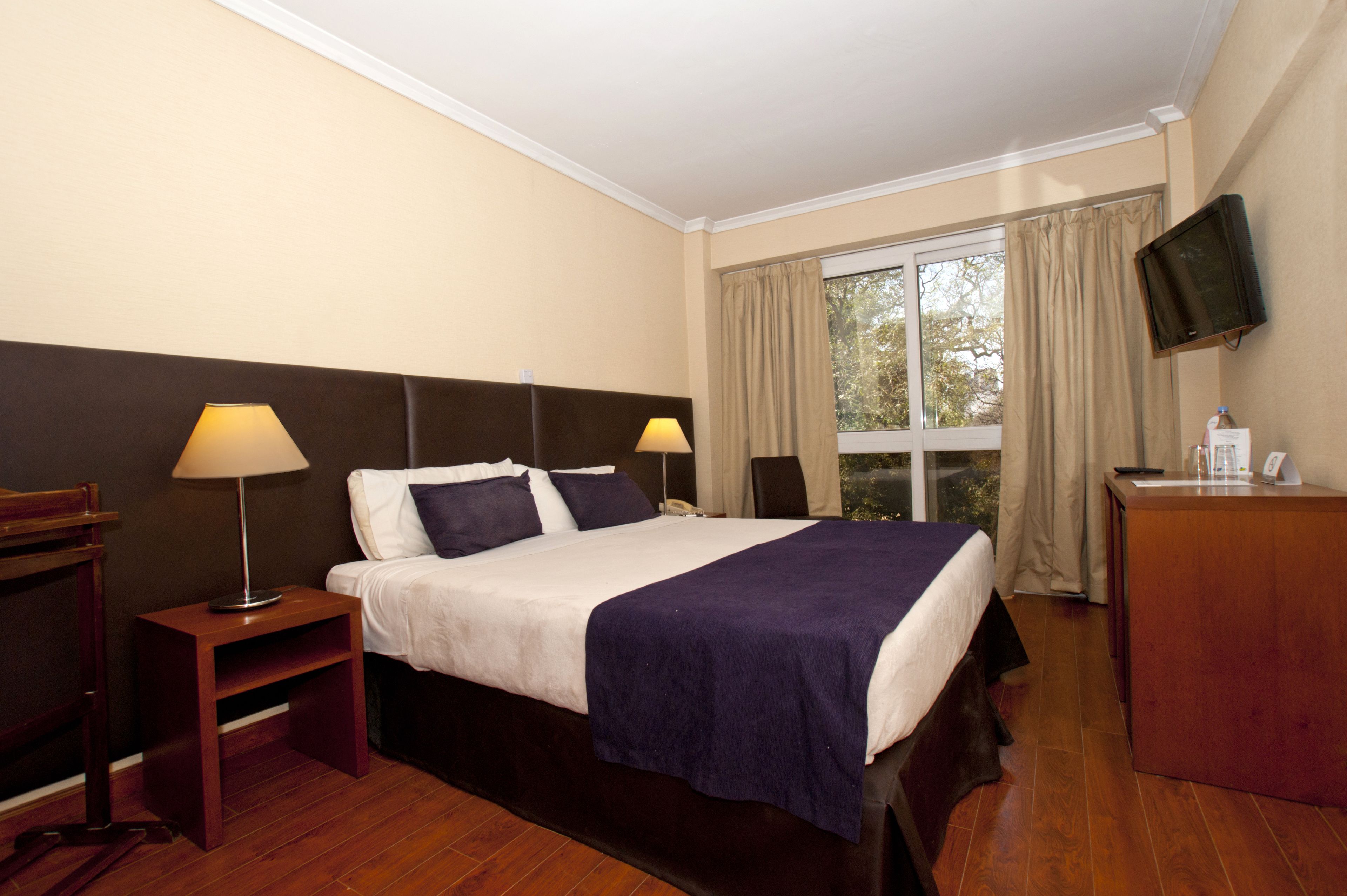 Foto - Bisonte Libertad