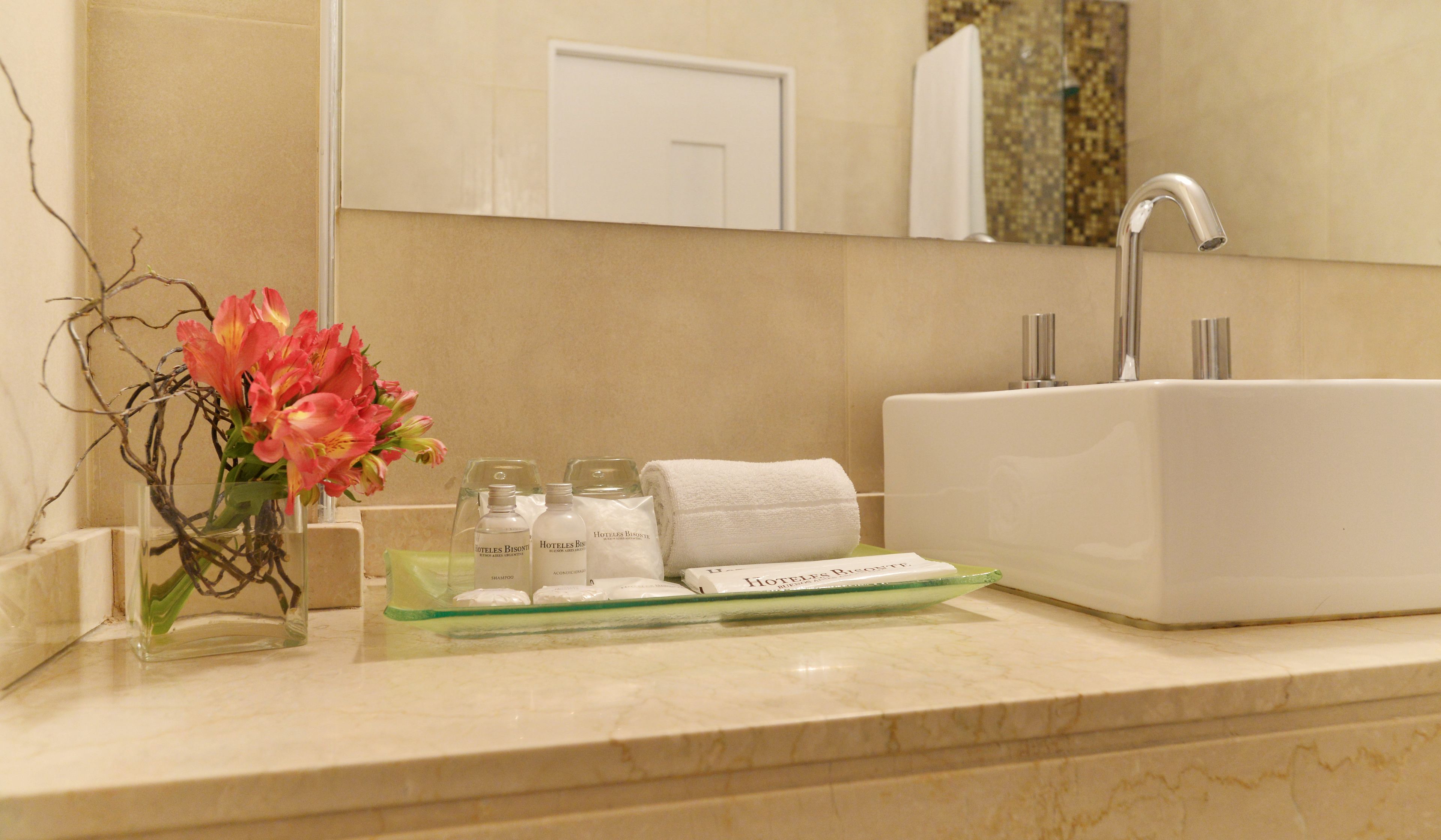 Foto - Bisonte Libertad