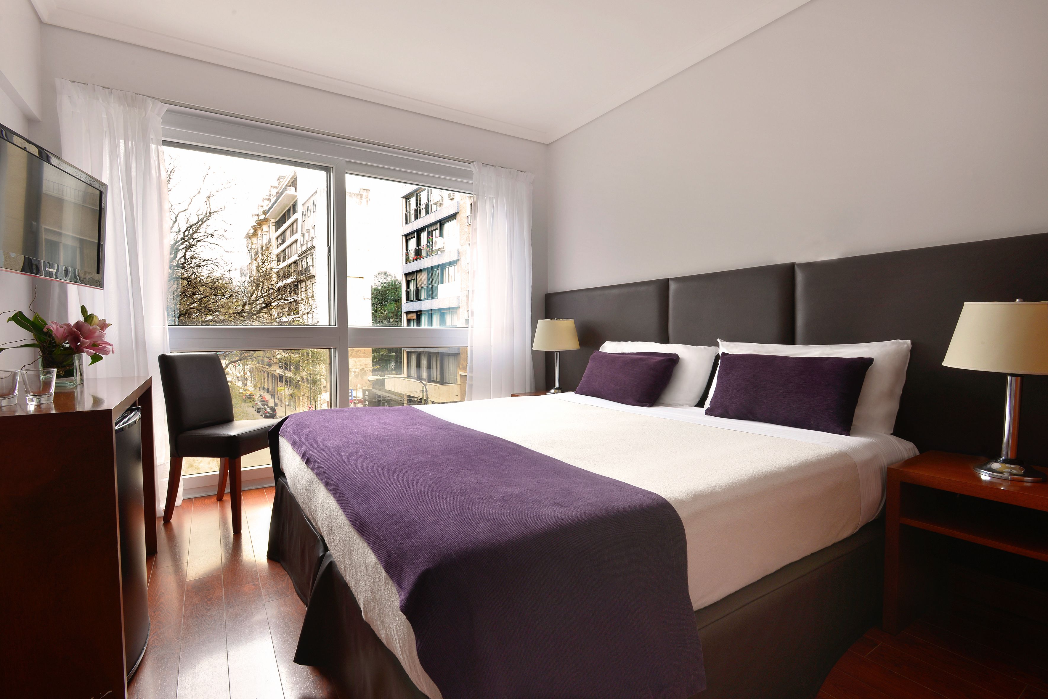 Foto - Bisonte Libertad