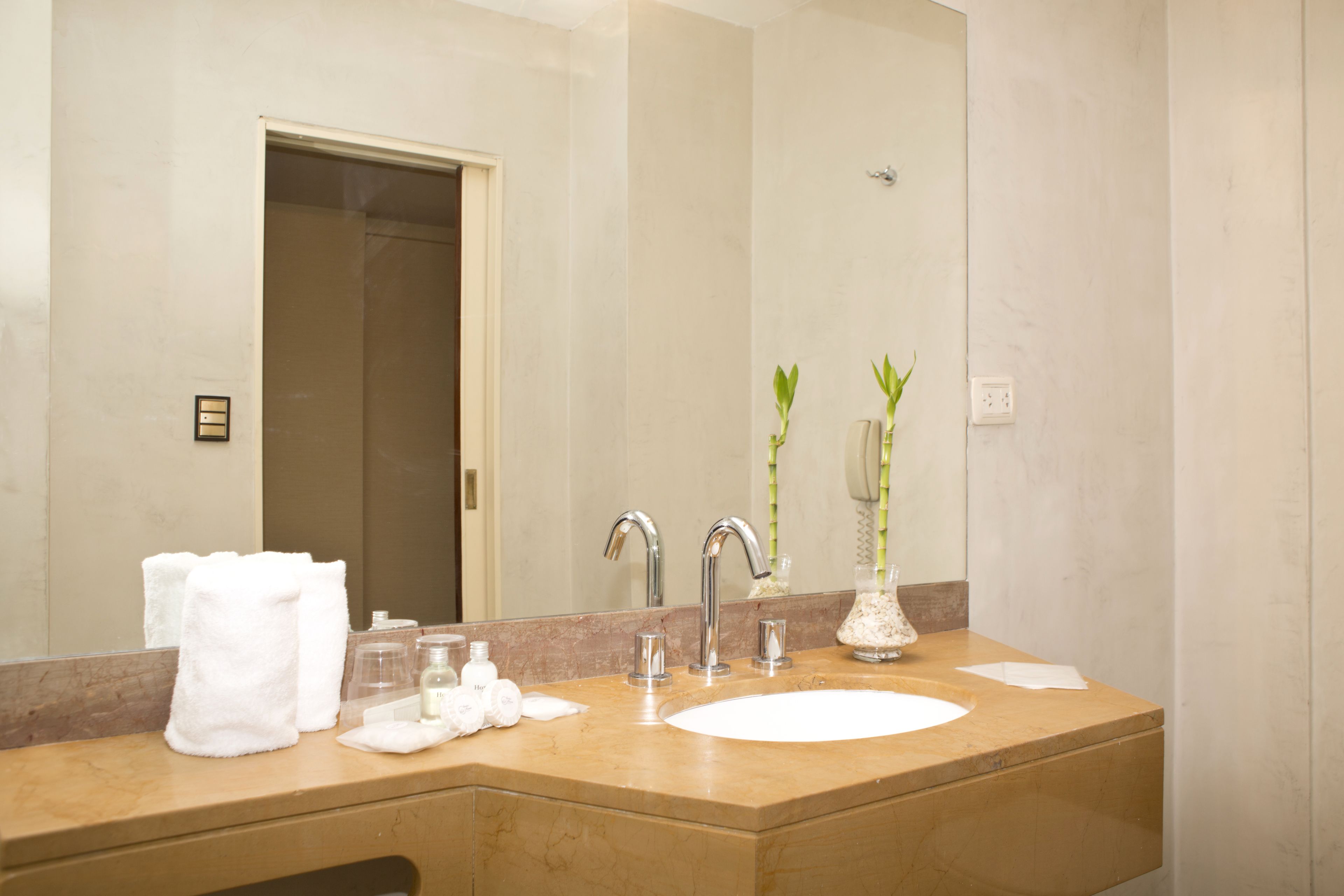 Foto - Bisonte Libertad