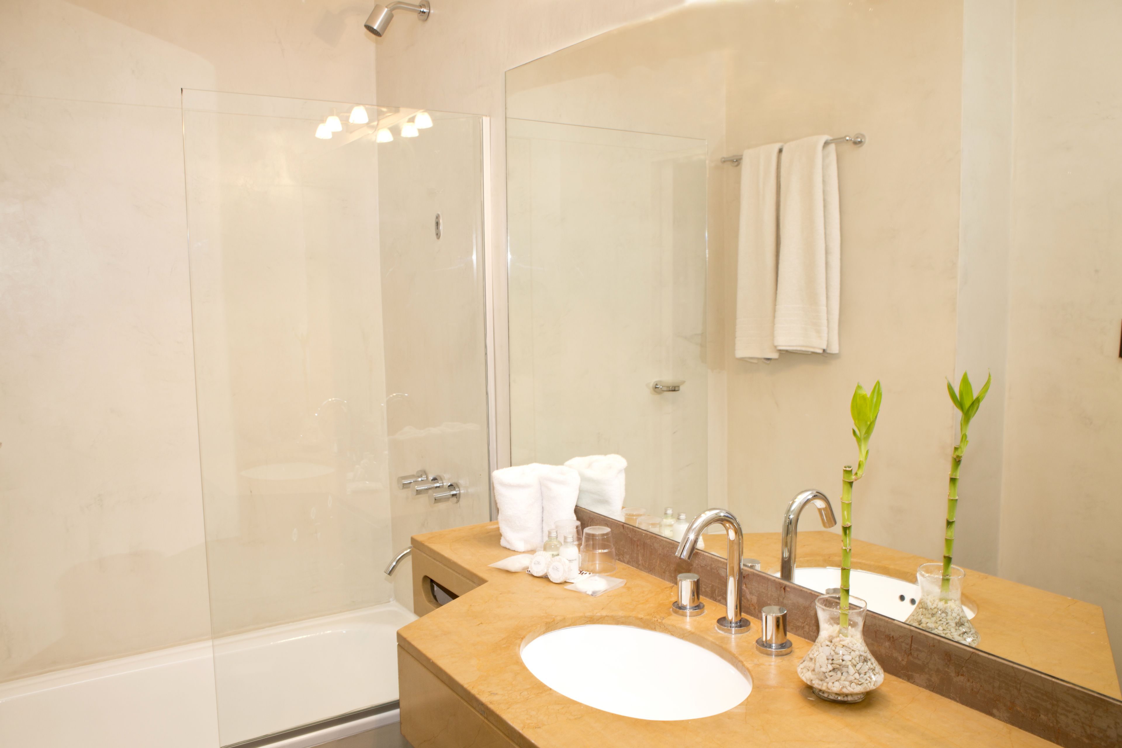 Foto - Bisonte Libertad