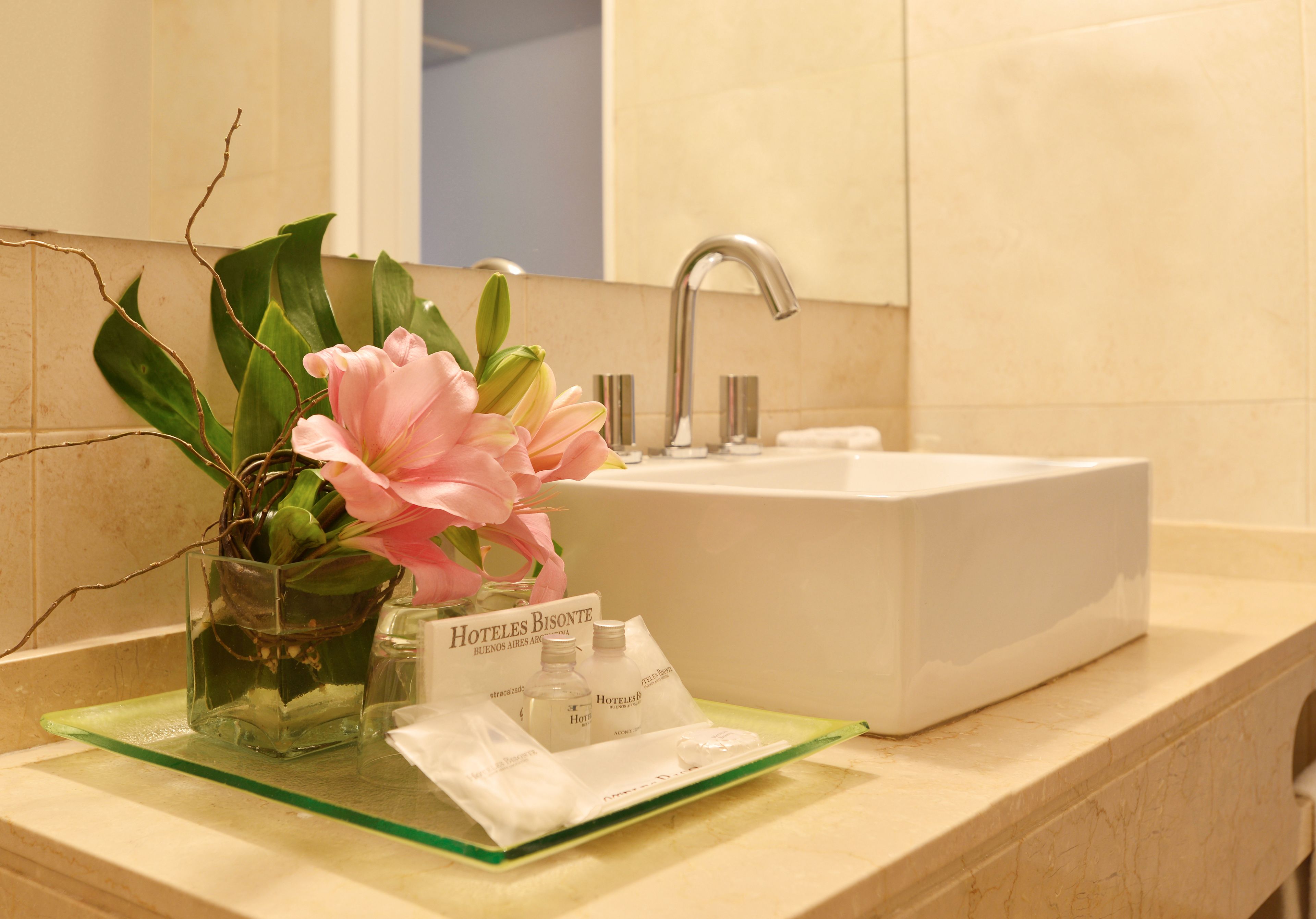 Foto - Bisonte Libertad