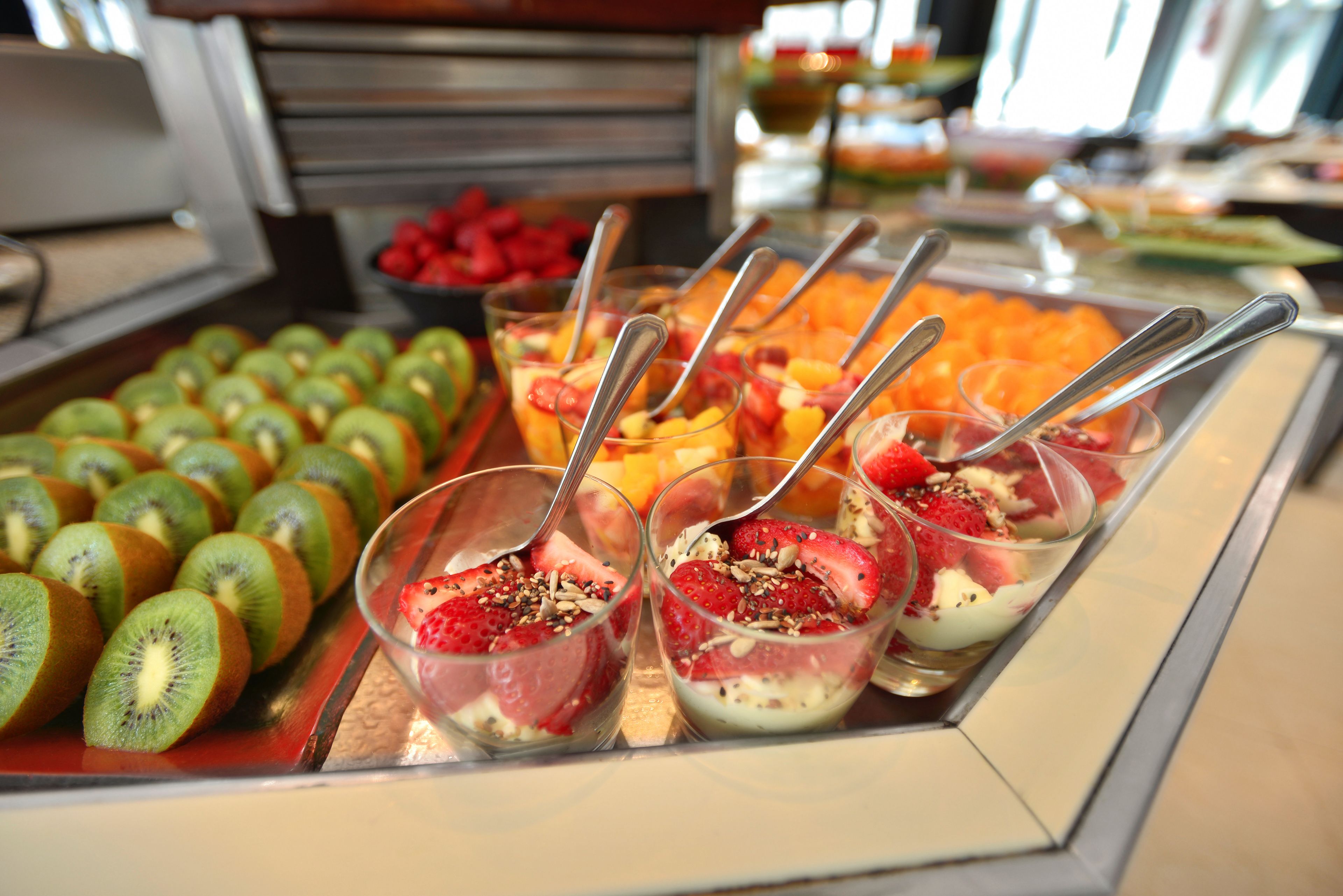 Foto - Bisonte Libertad