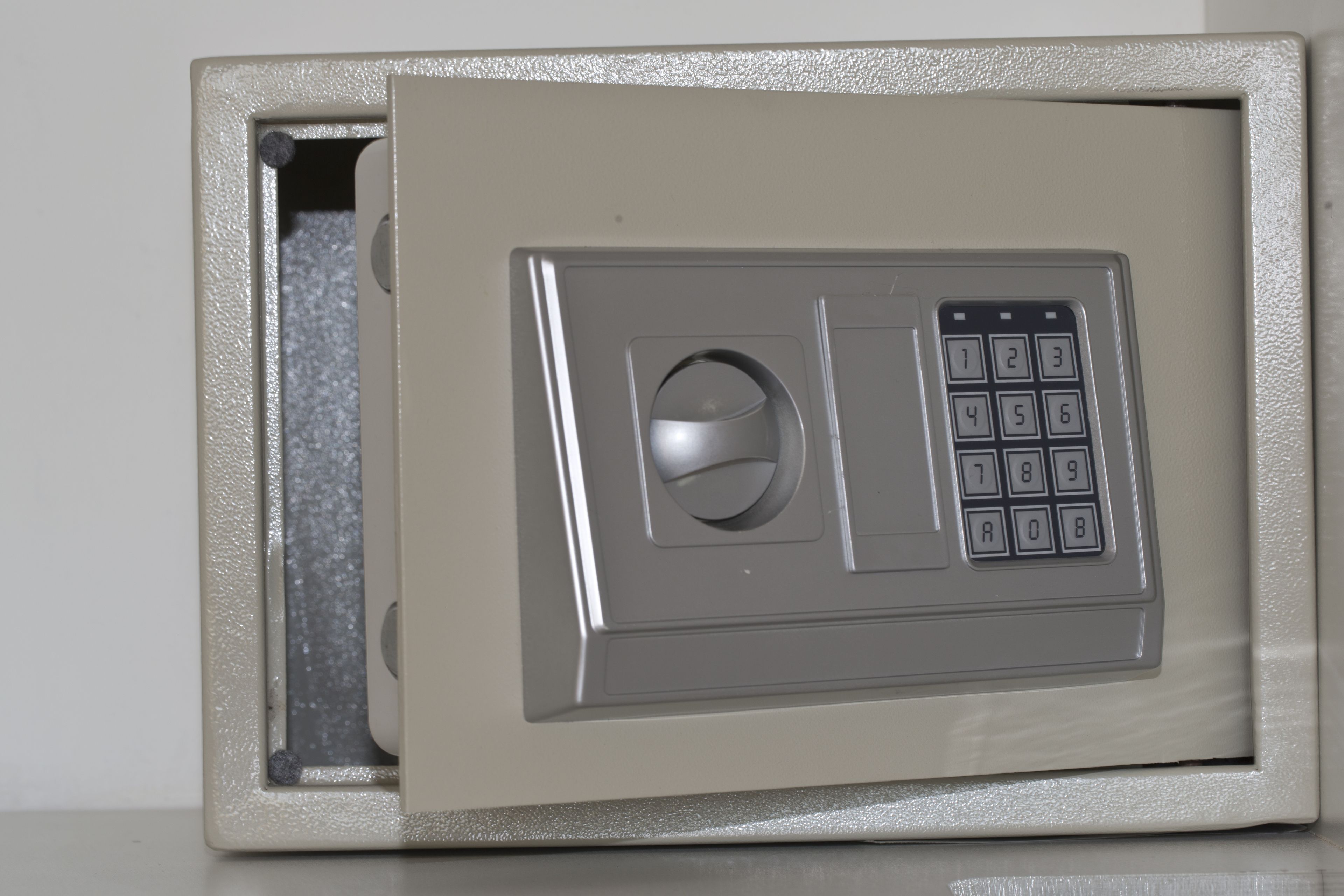 Foto - Bisonte Libertad