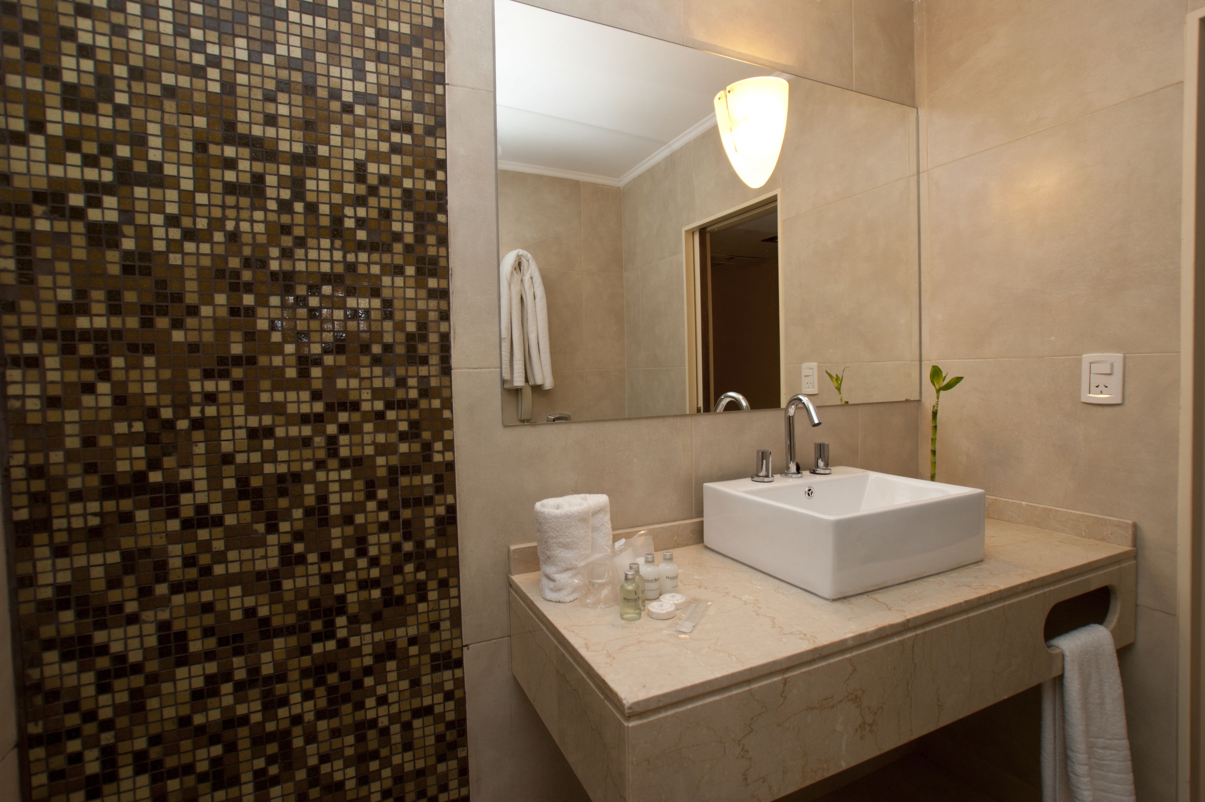 Foto - Bisonte Libertad