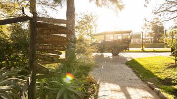 Lion's View Villas - Double/Twin | Kinder-Themenzimmer