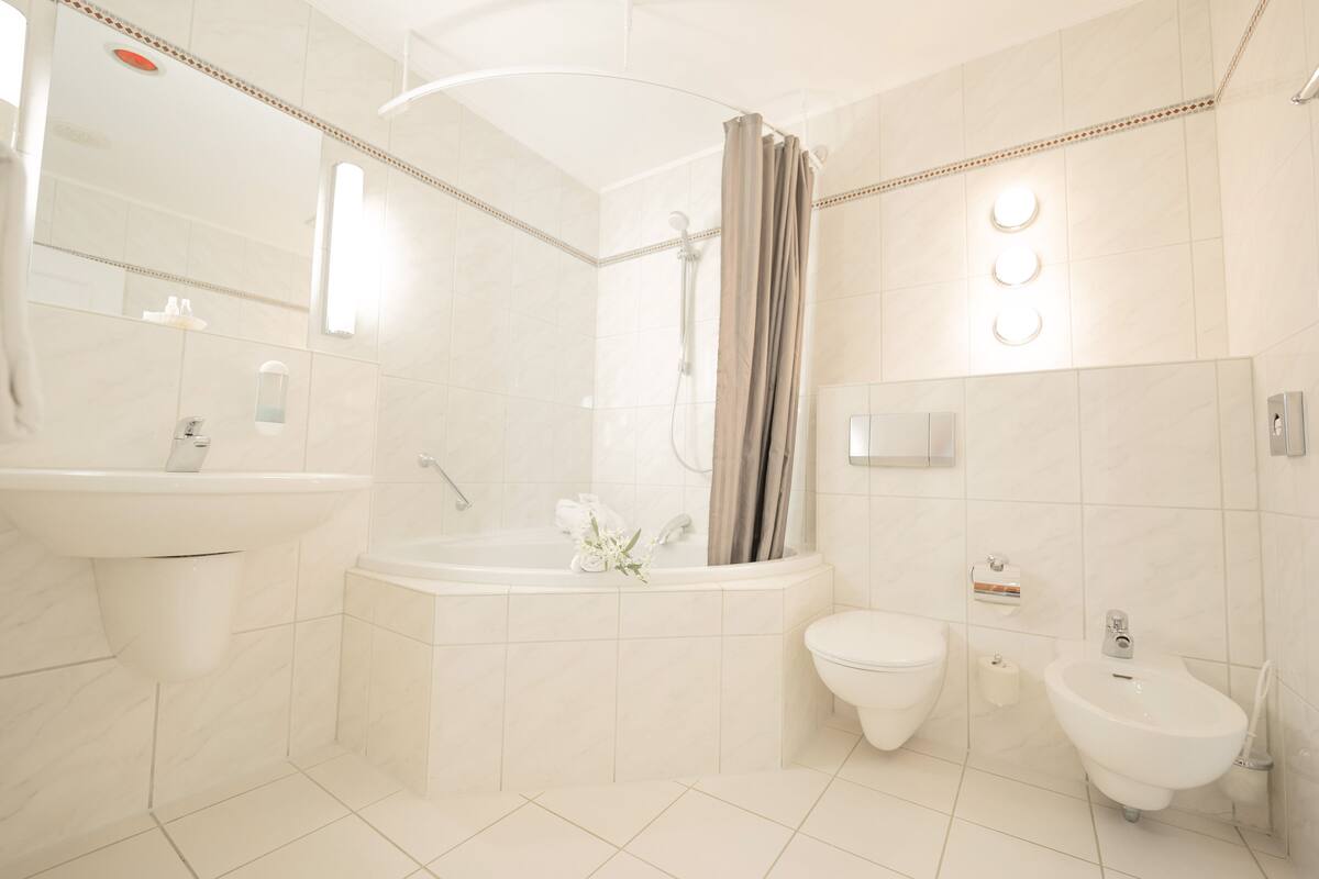 combined shower/bathtub, free toiletries, hair dryer, bidet
