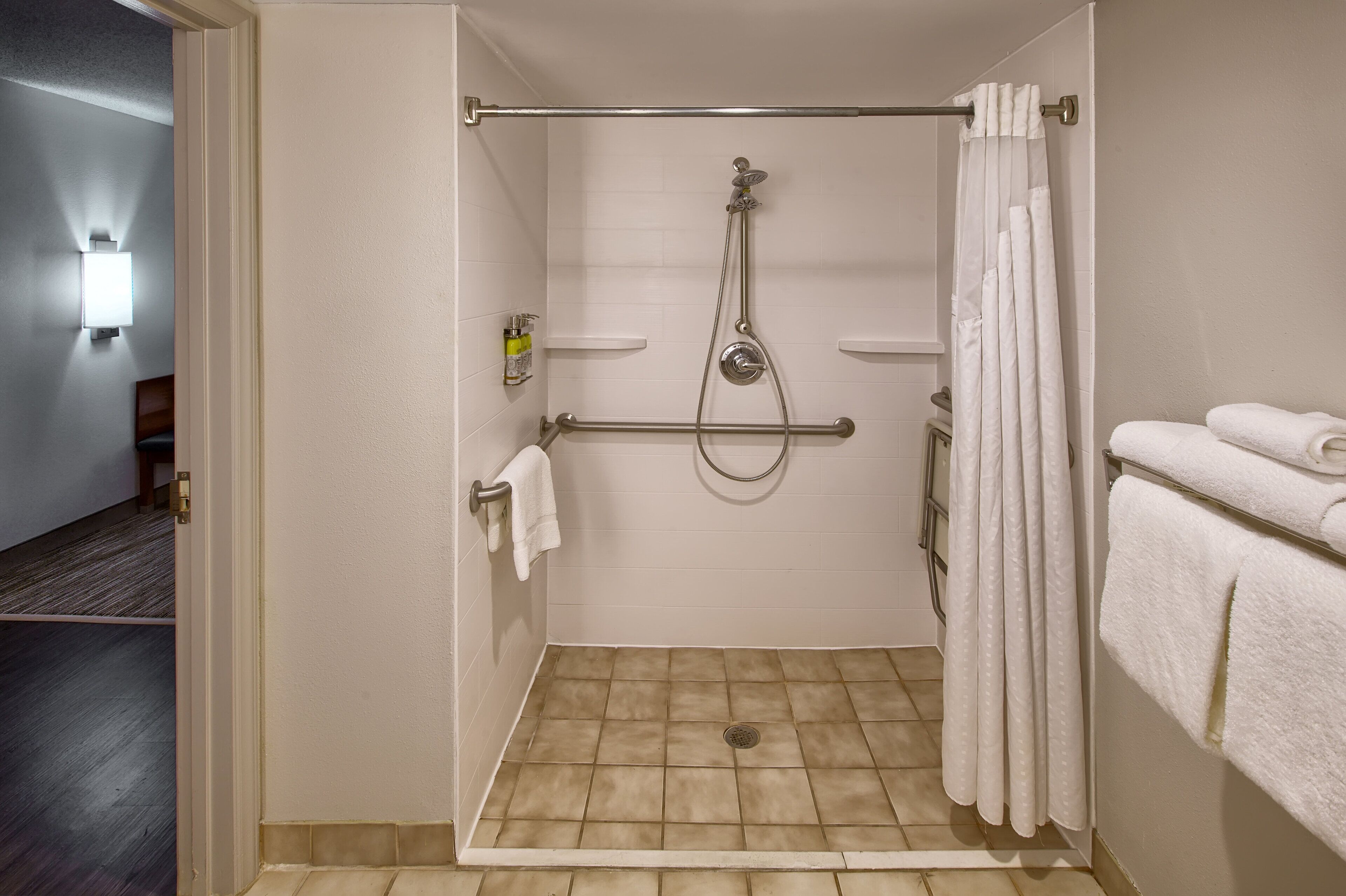 standard room, 1 king bed, accessible (shwr) | bathroom shower