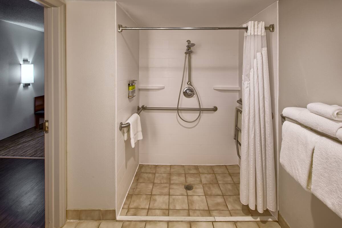 standard room, 1 king bed, accessible (shwr) | bathroom shower