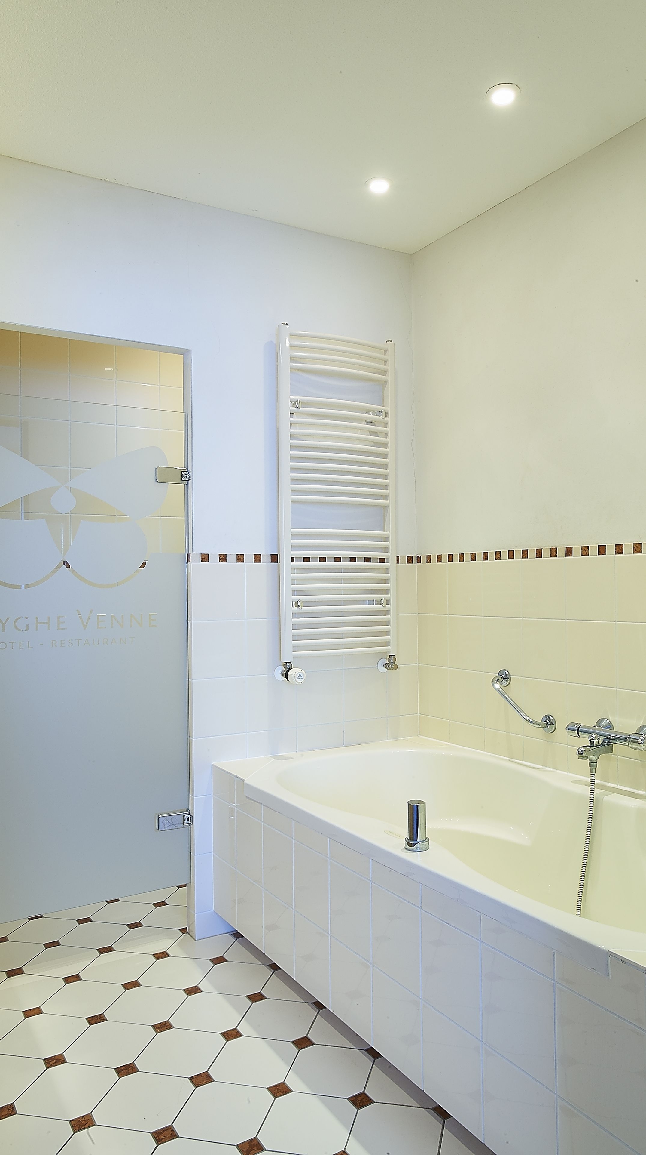 combined shower/bathtub, free toiletries, hair dryer