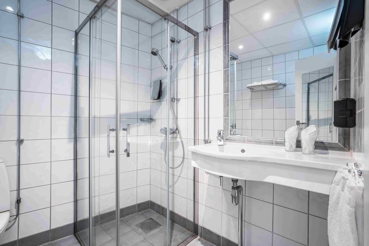 shower, free toiletries, hair dryer, towels