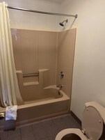 Bañera con ducha, cabezal de ducha tipo lluvia