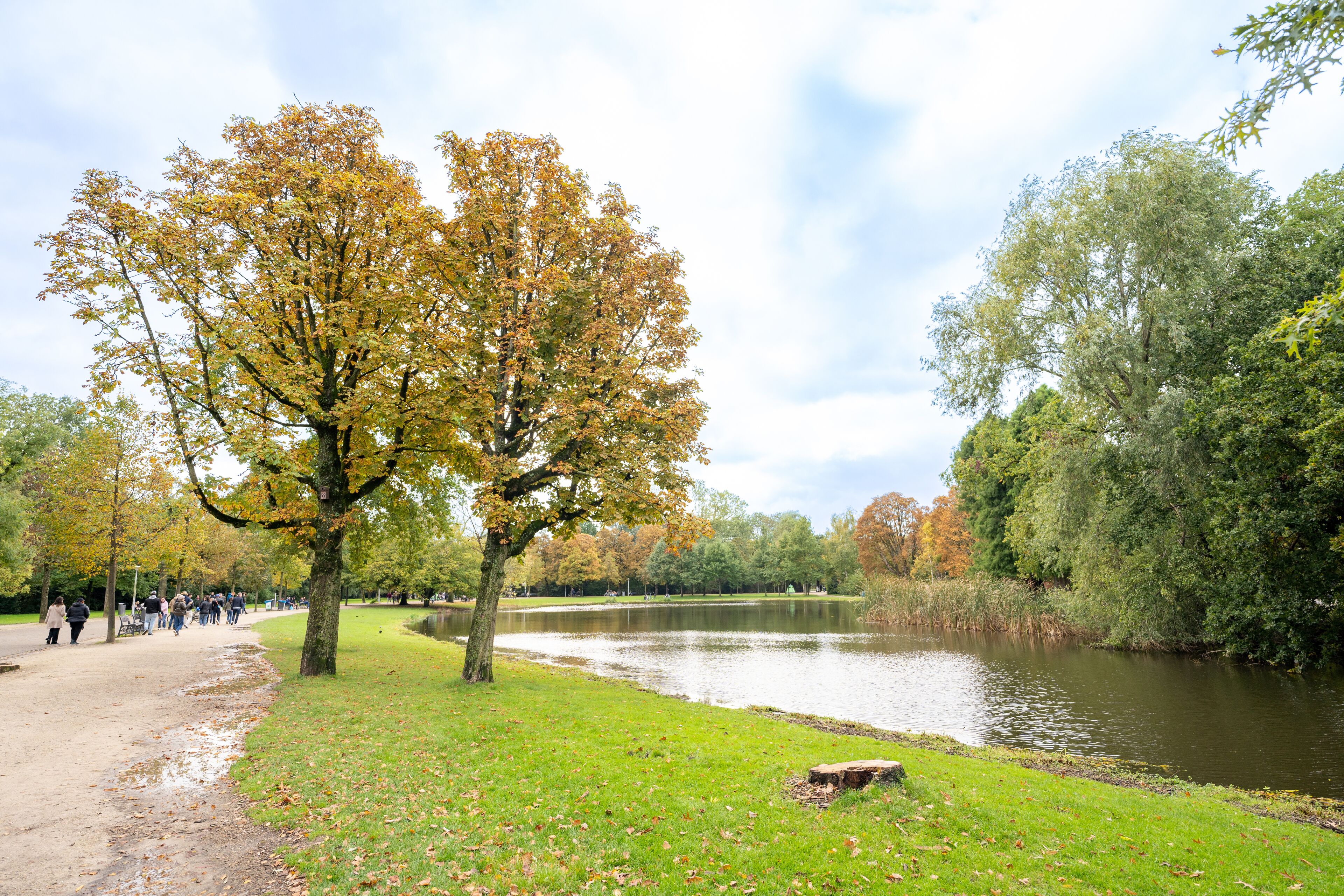 land view from property