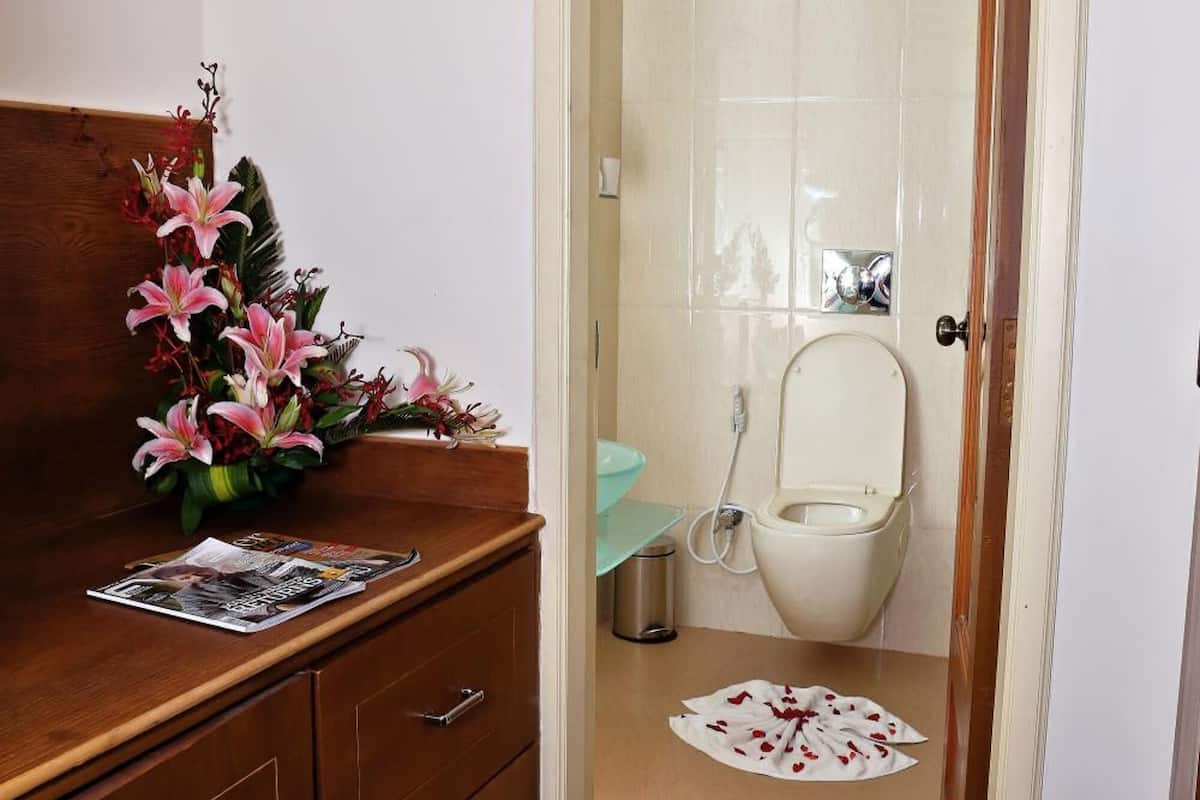 separate bathtub and shower, free toiletries, hair dryer, bathrobes