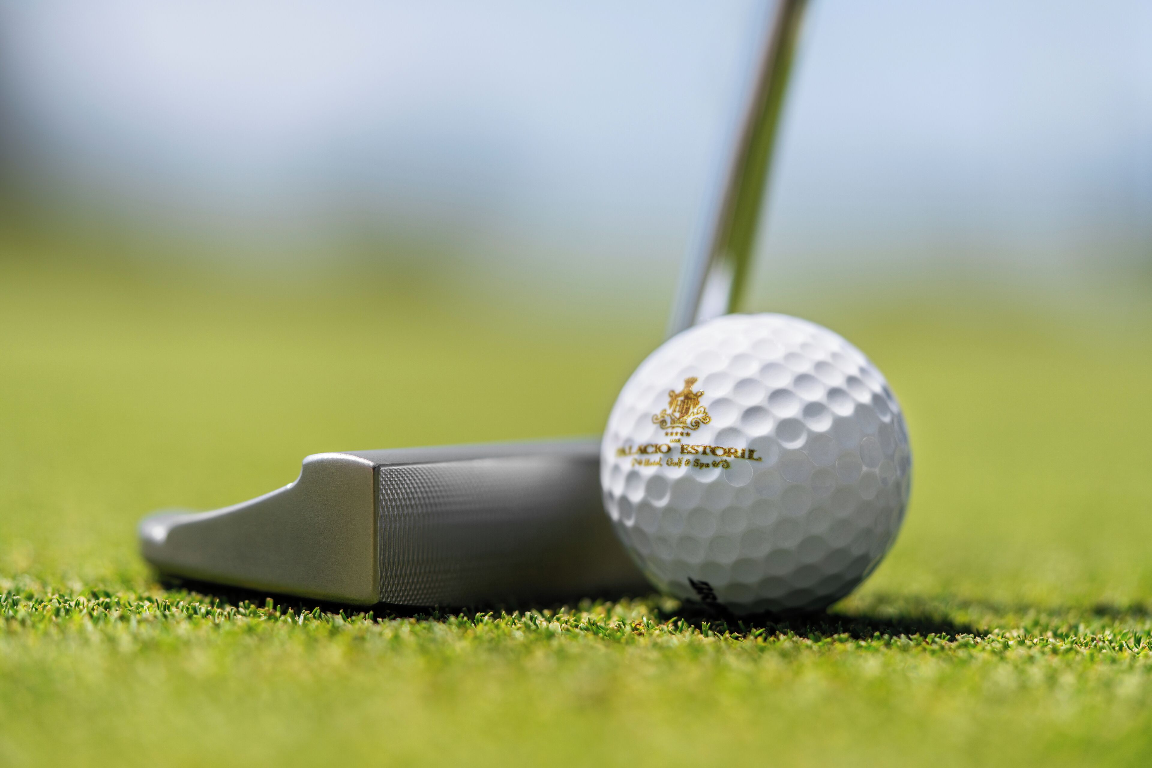 Una pilota de golf amb un logotip sobre una superfície verda.