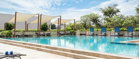 Outdoor pool, sun loungers