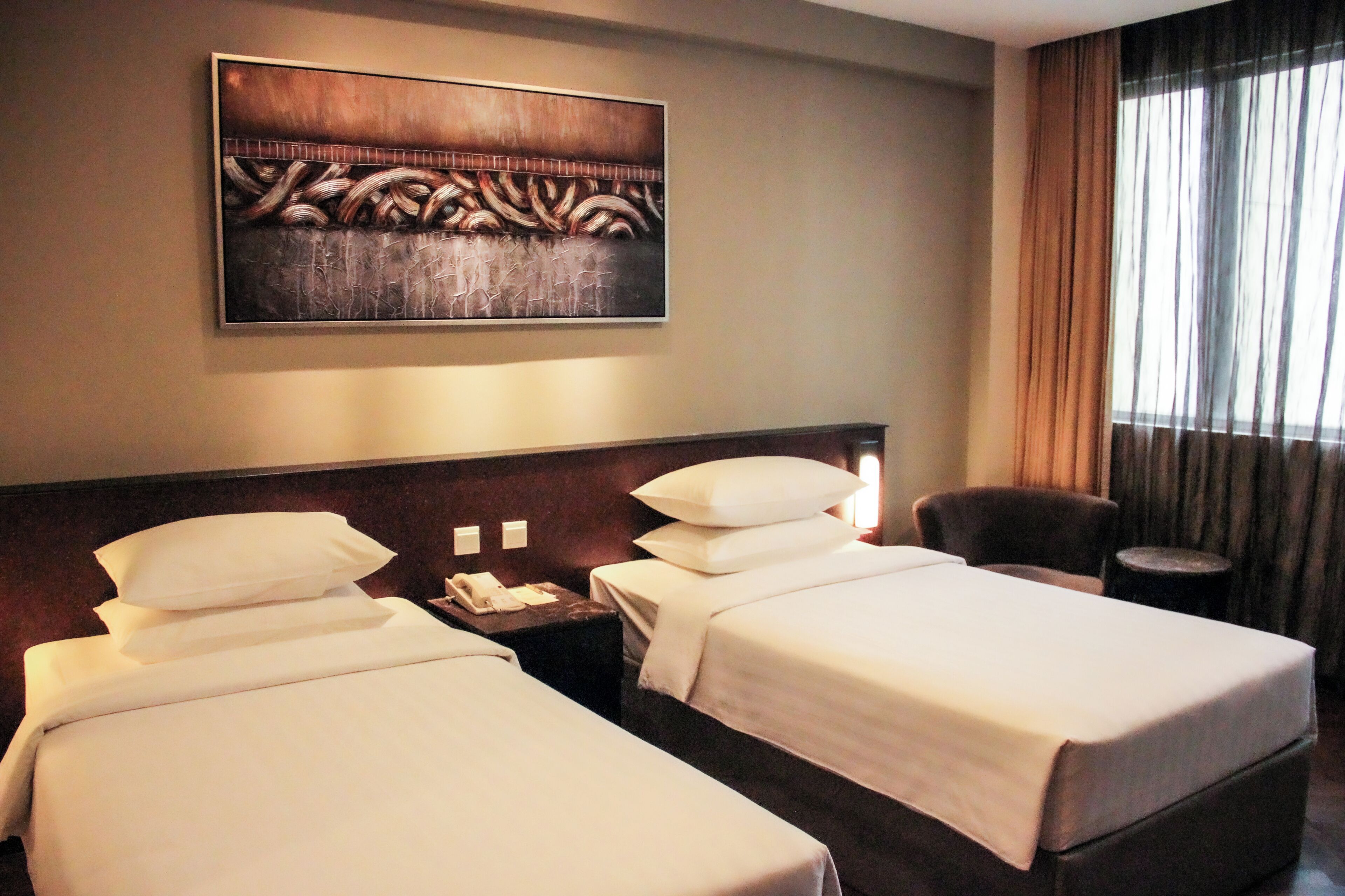 Deluxe Twin Room