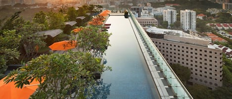 Une longue et étroite piscine, avec une passerelle en verre d’un côté, entourée de verdure et offrant une vue sur un paysage urbain dominé par des immeubles de grande hauteur.