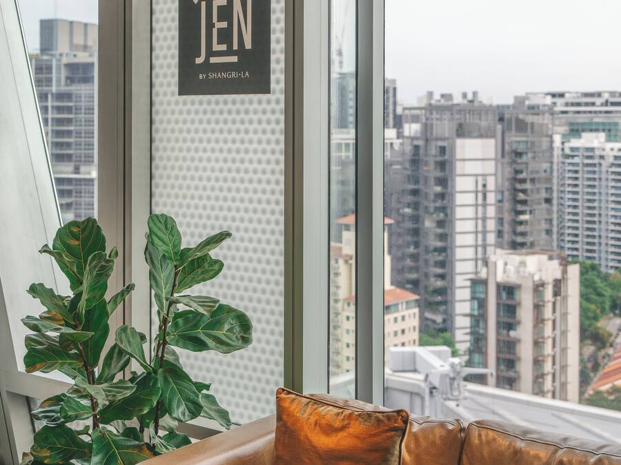 A modern interior with a leather sofa, a large potted plant, and a city view through large windows.