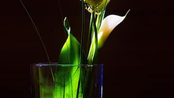 Un jarrón de cristal transparente con una flor blanca y hojas verdes.