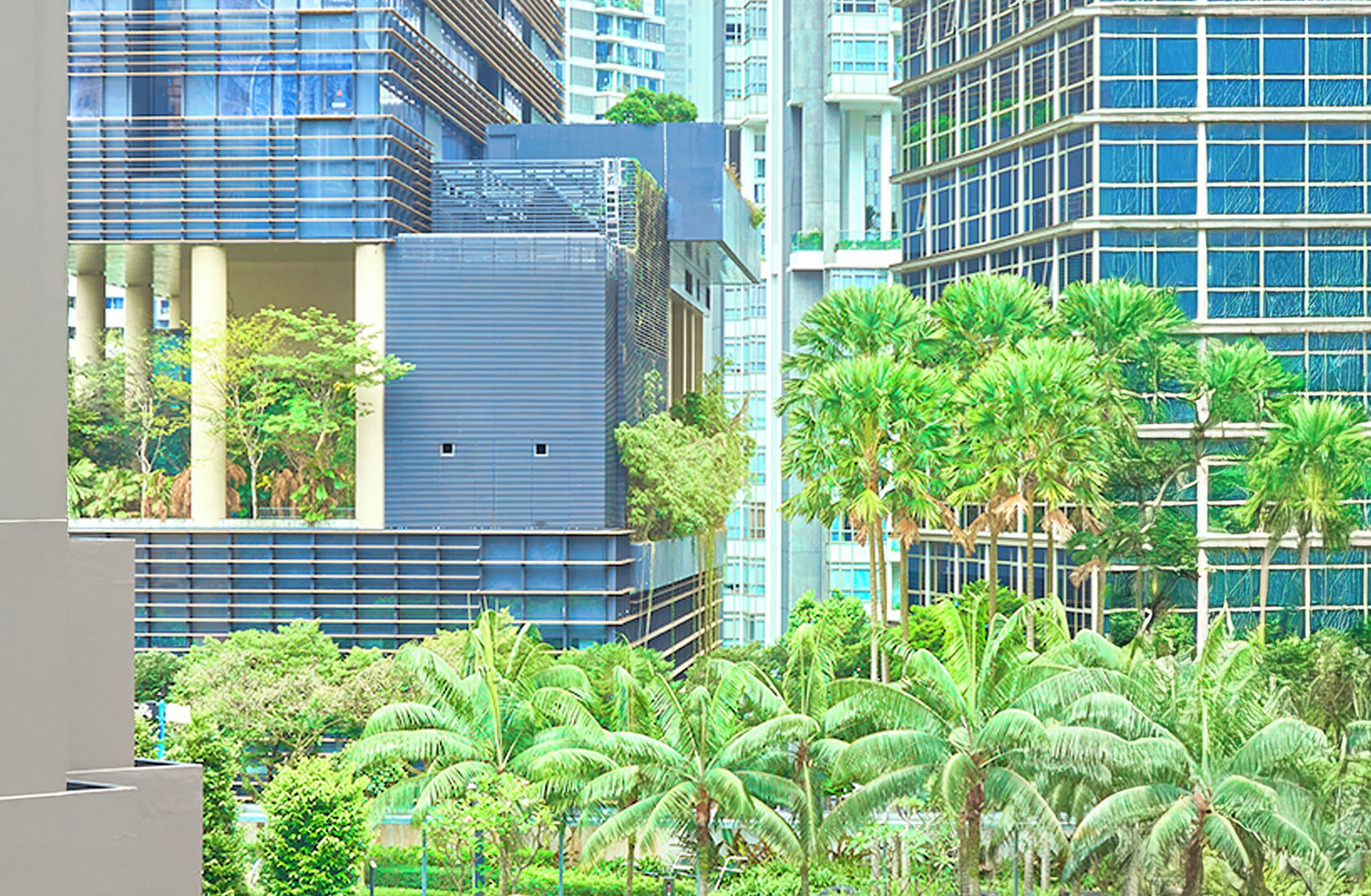 City view