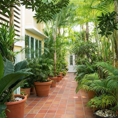 A corridor lined with potted plants and a tiled floor, leading to a door.