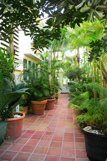 Coral Princess Hotel - Image 16