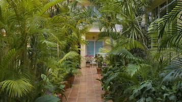 Vista desde la propiedad