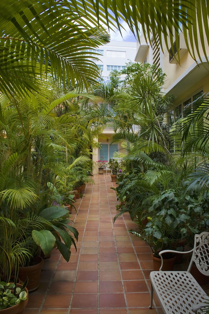 Coral Princess Hotel by null