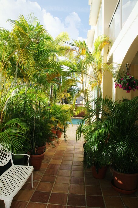 Coral Princess Hotel - Image 2