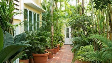 Áreas de la propiedad