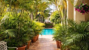 A poolside area with potted plants, a white bench, and a hanging flower basket.