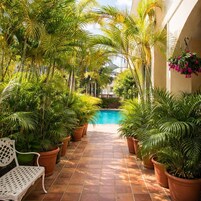 Terraza o patio