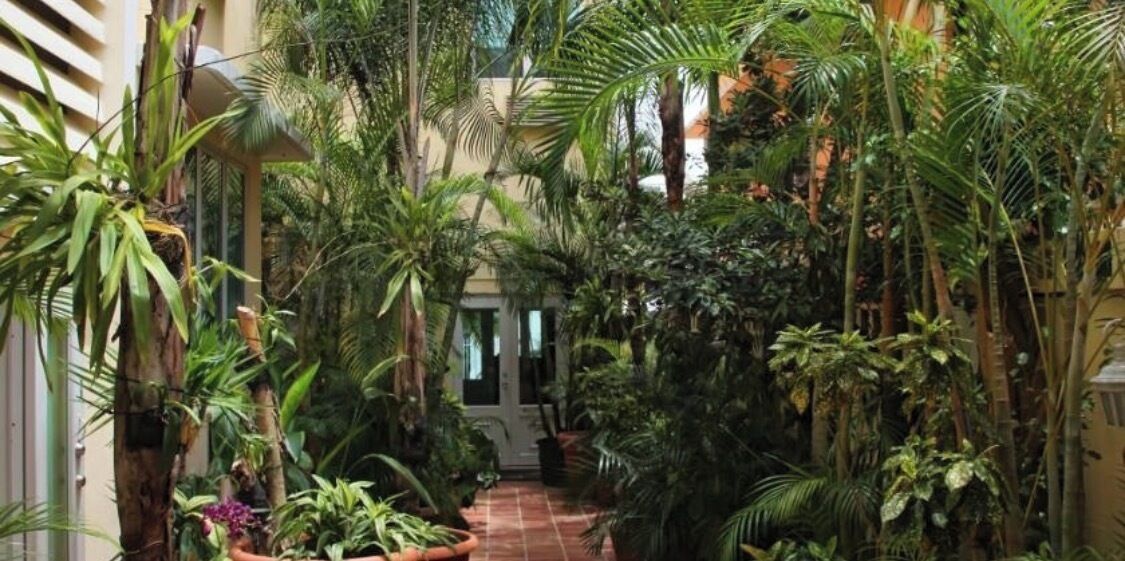 Garden view