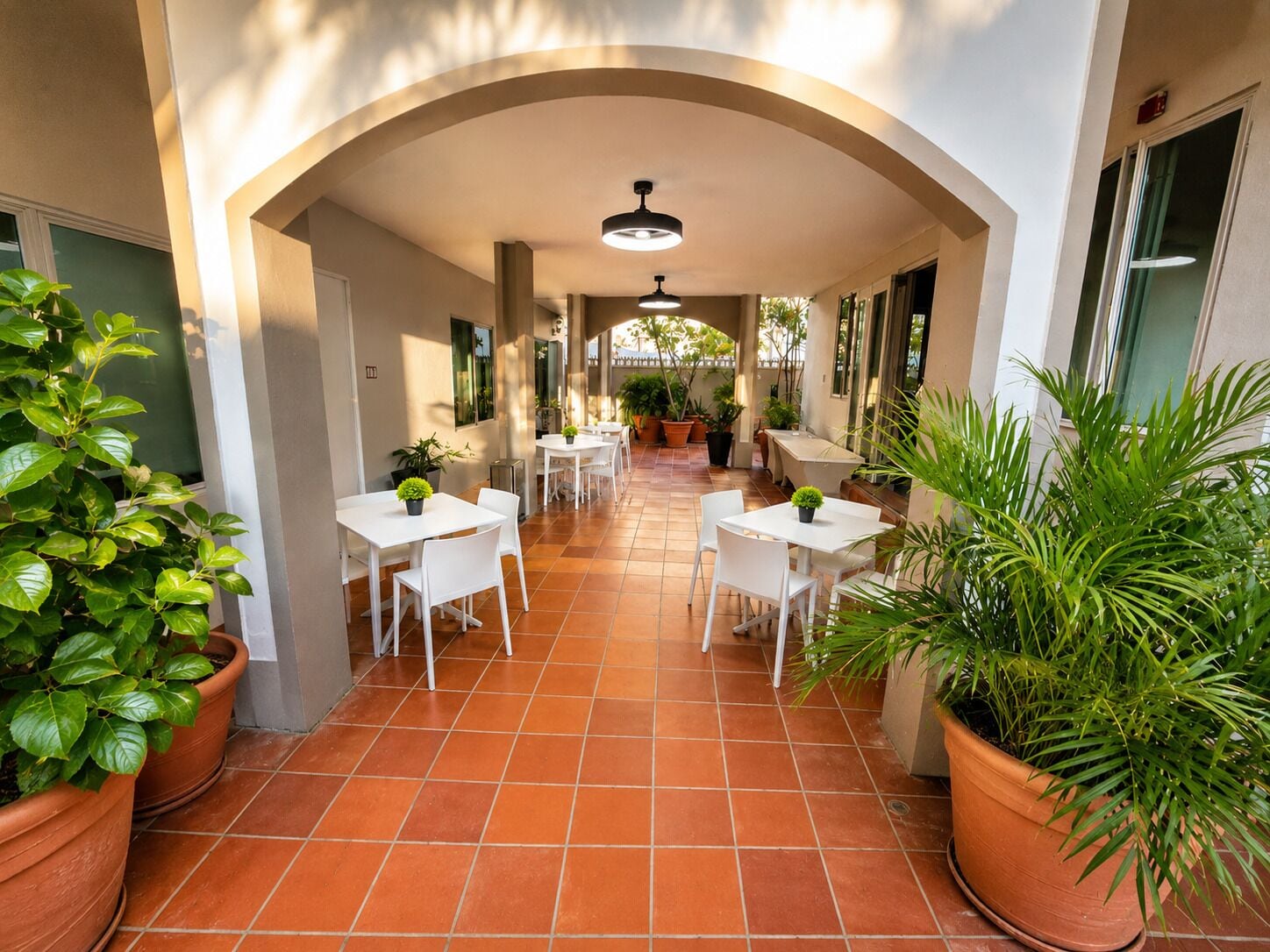 Terras