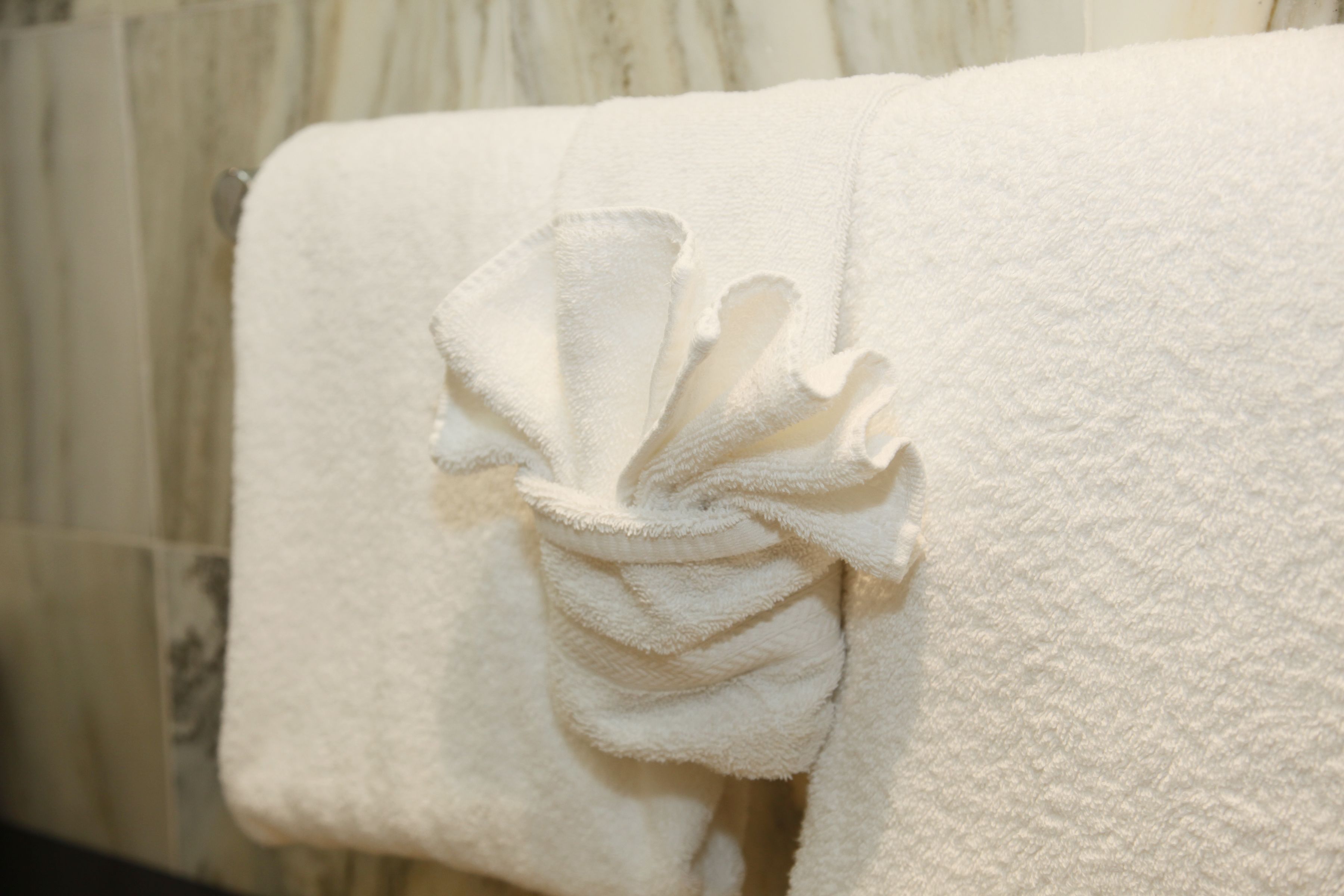 shower, free toiletries, hair dryer, bidet