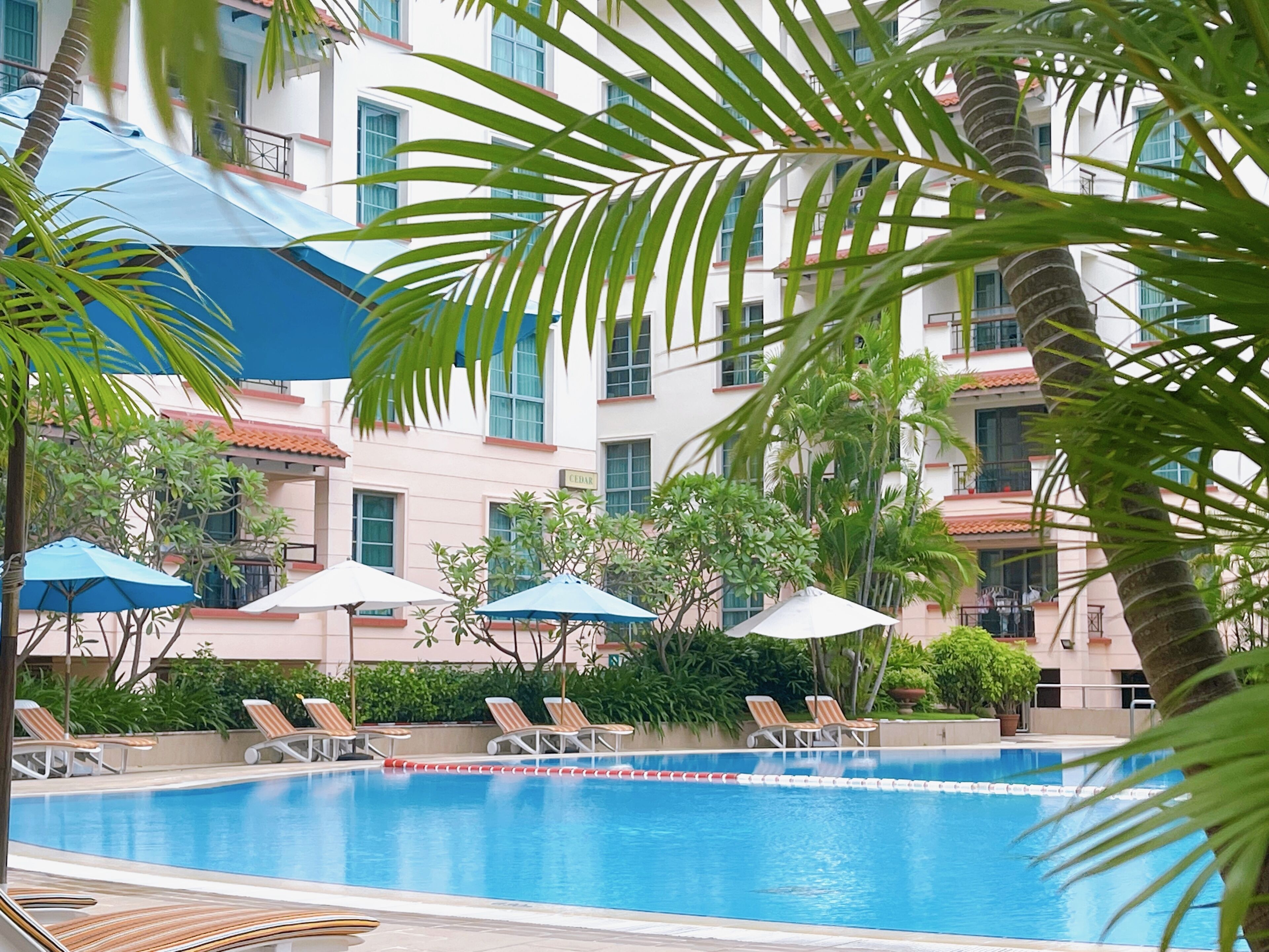A swimming pool with lounge chairs and umbrellas, surrounded by palm trees and a building with balconies.